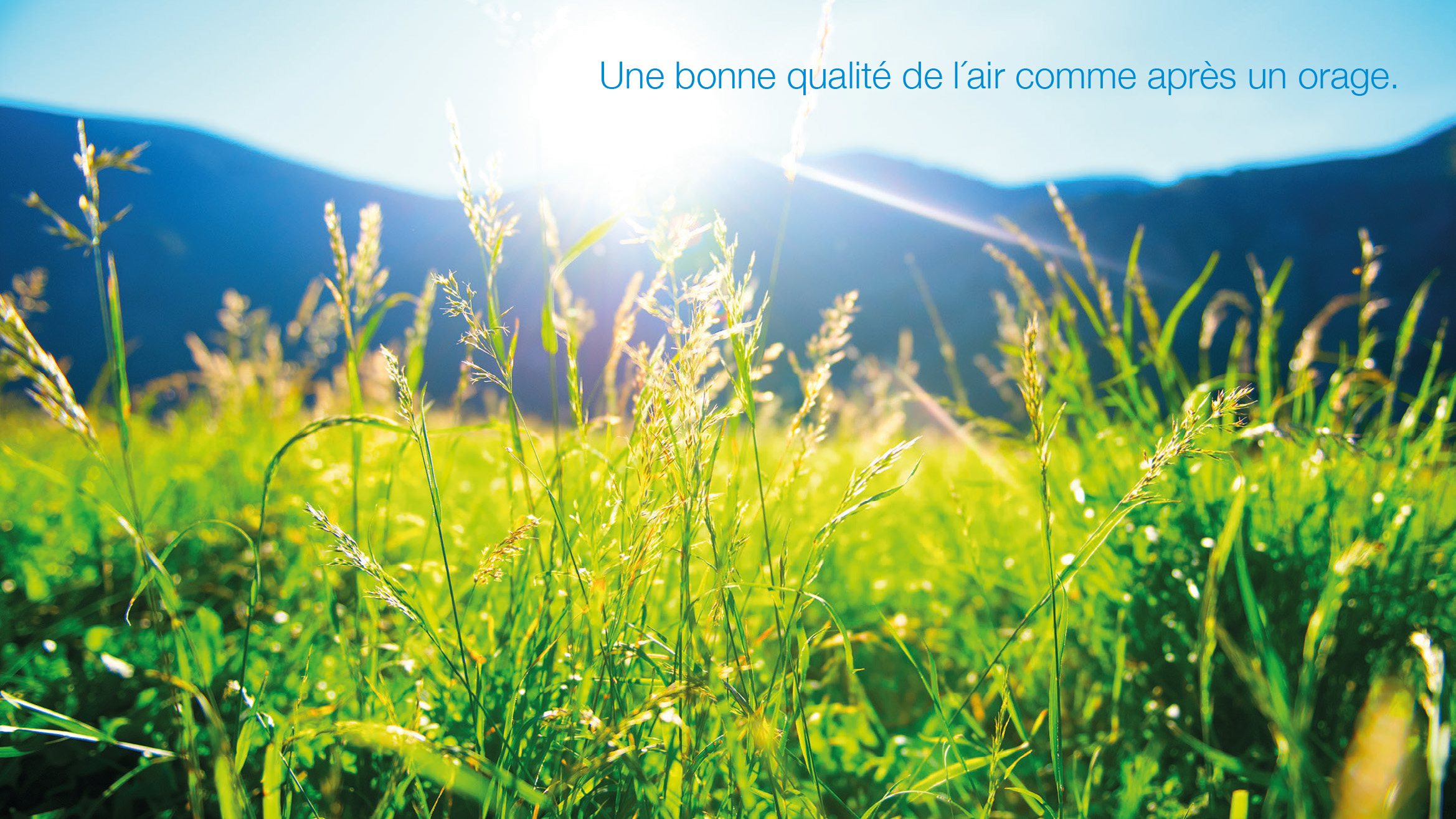ECO_Greenbus_Homepage_freshair_image ECO_Greenbus_Homepage_freshair_image